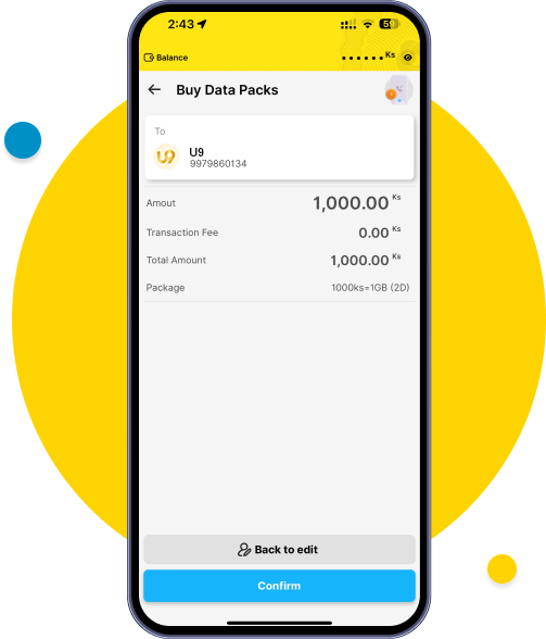 Review your payment information