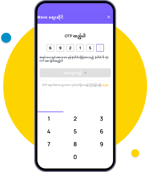 Enter the 6-digit OTP  from the SMS.
